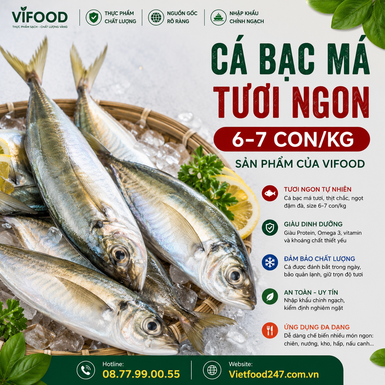 Cá bạc má tươi 6-7 con/kg