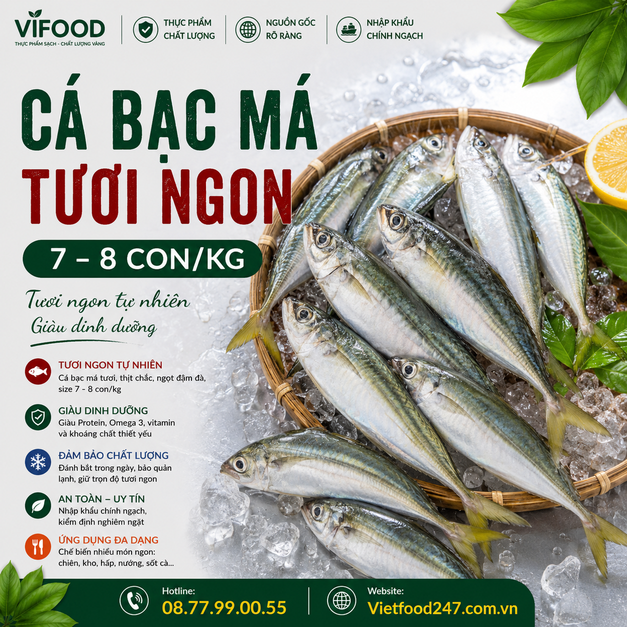 Cá bạc má tươi 7-8 con/kg