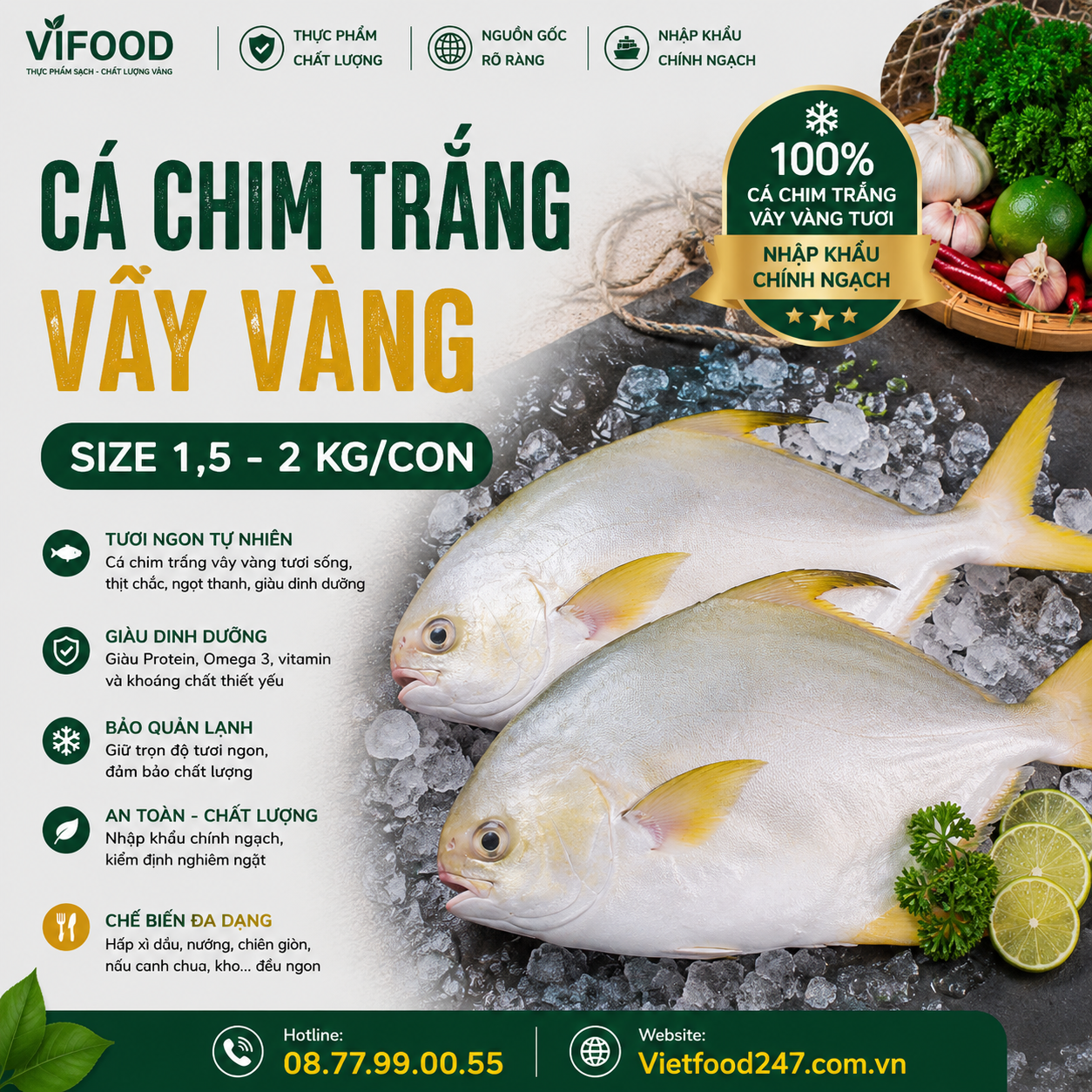 Cá chim trắng vây vàng size 1,5-2 kg/con
