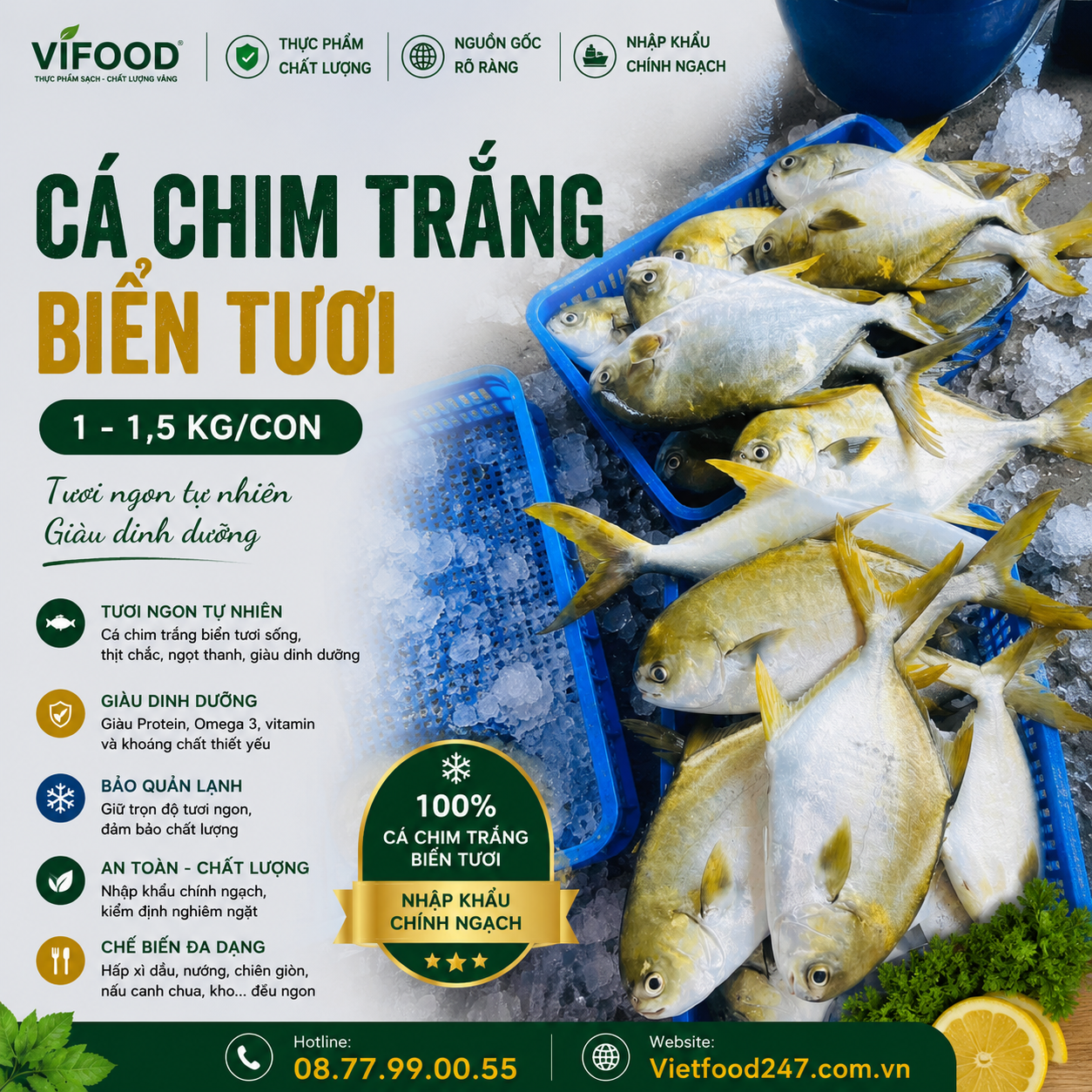 Cá chim trắng biển 1-1,5 kg/con