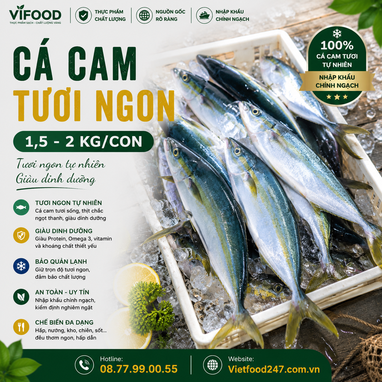 Cá cam tươi 1,5-2 kg/con