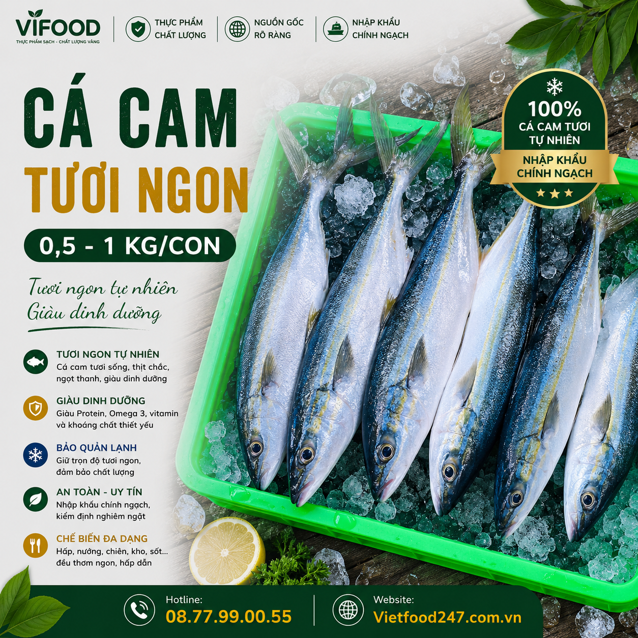 Cá cam tươi 0,5-1 kg/con