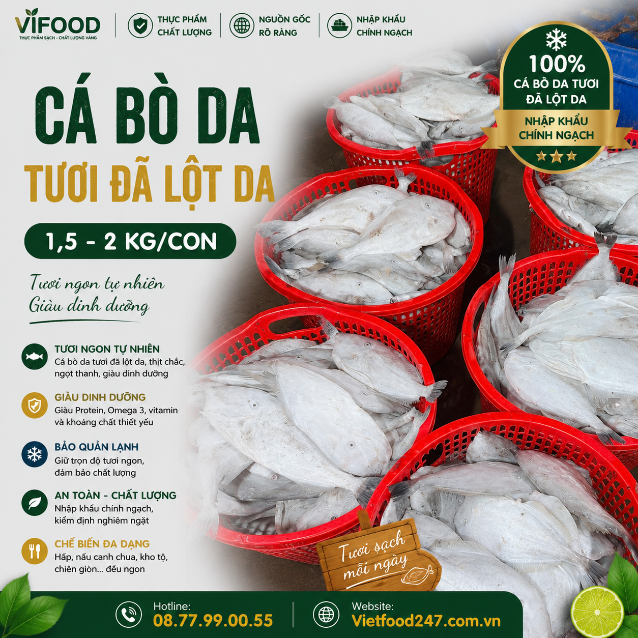 Cá bò da tươi đã lột da 1,5-2 kg/con
