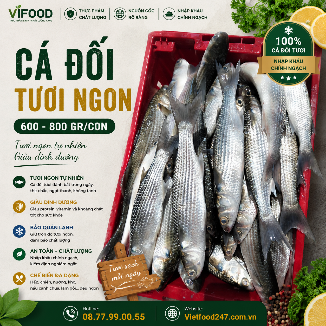 Cá đối tươi 600-800 gr/con