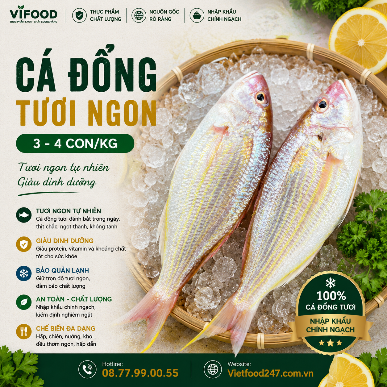 Cá đổng tươi 3-4 con/kg