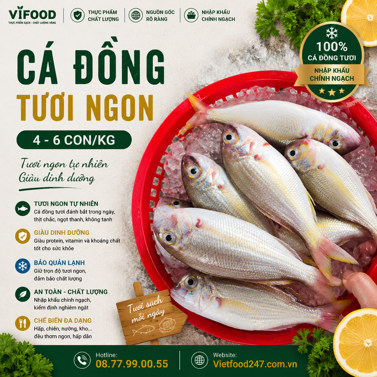 Cá đổng tươi 4-6 con/kg