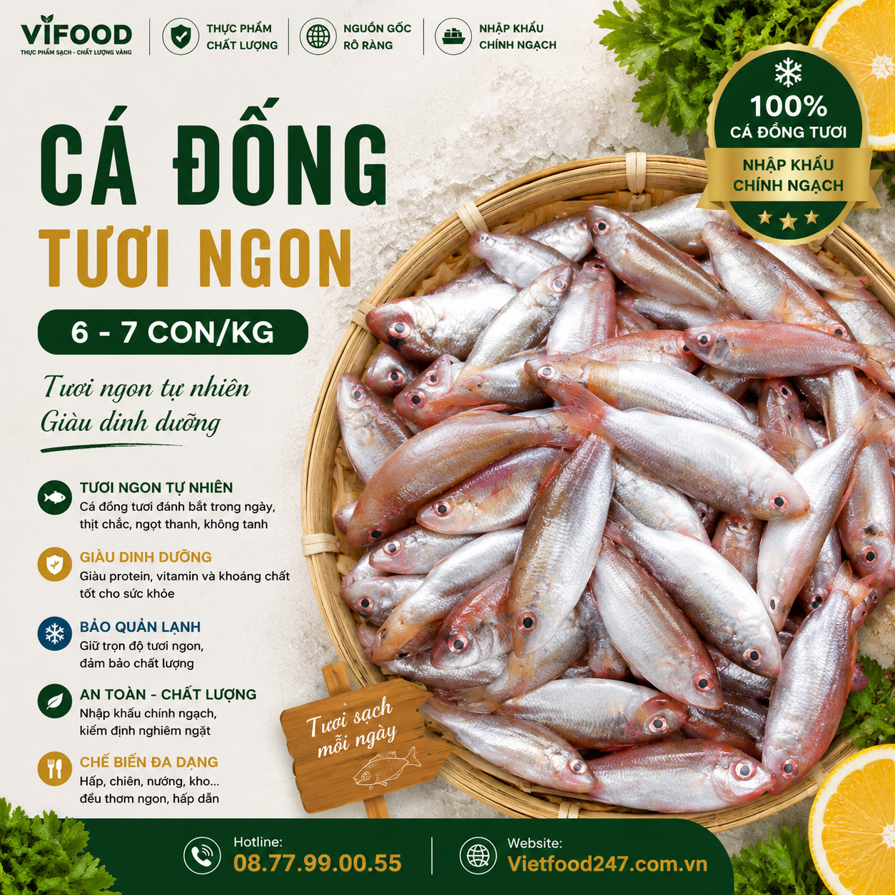 Cá đổng tươi 6-7 con/kg
