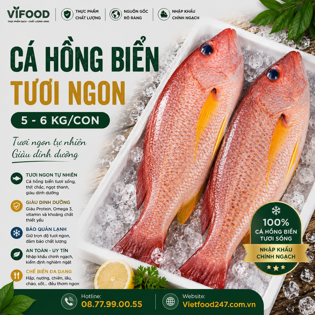 Cá hồng biển tươi size 5-6 kg/con