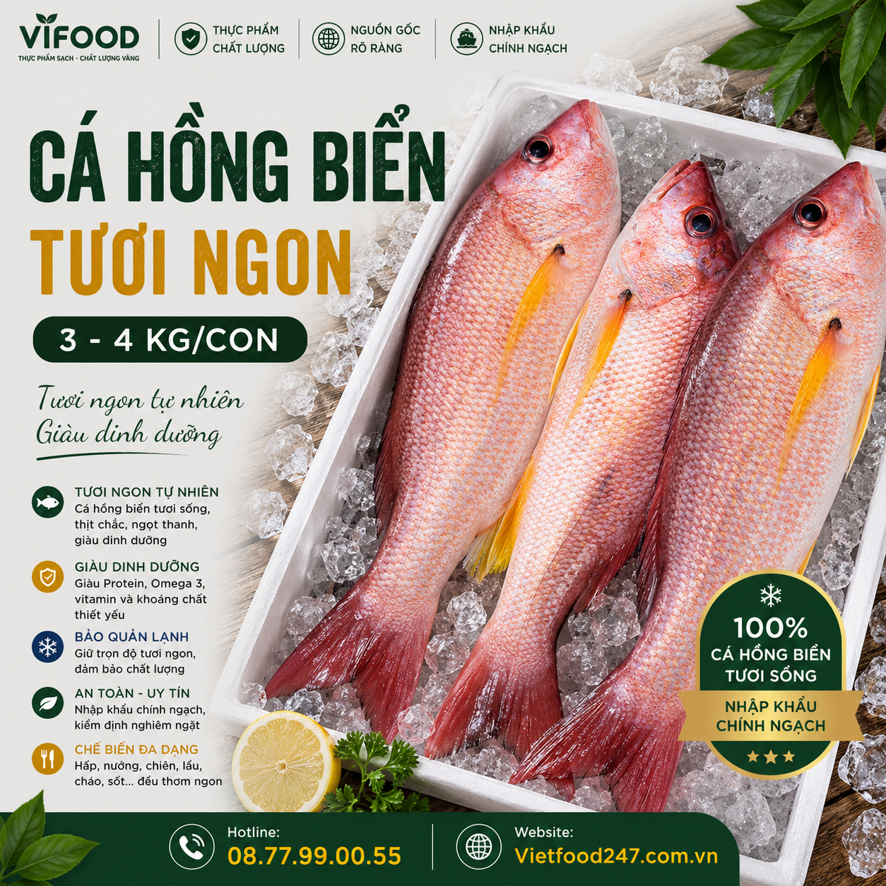 Cá hồng biển tươi 3-4 kg/con
