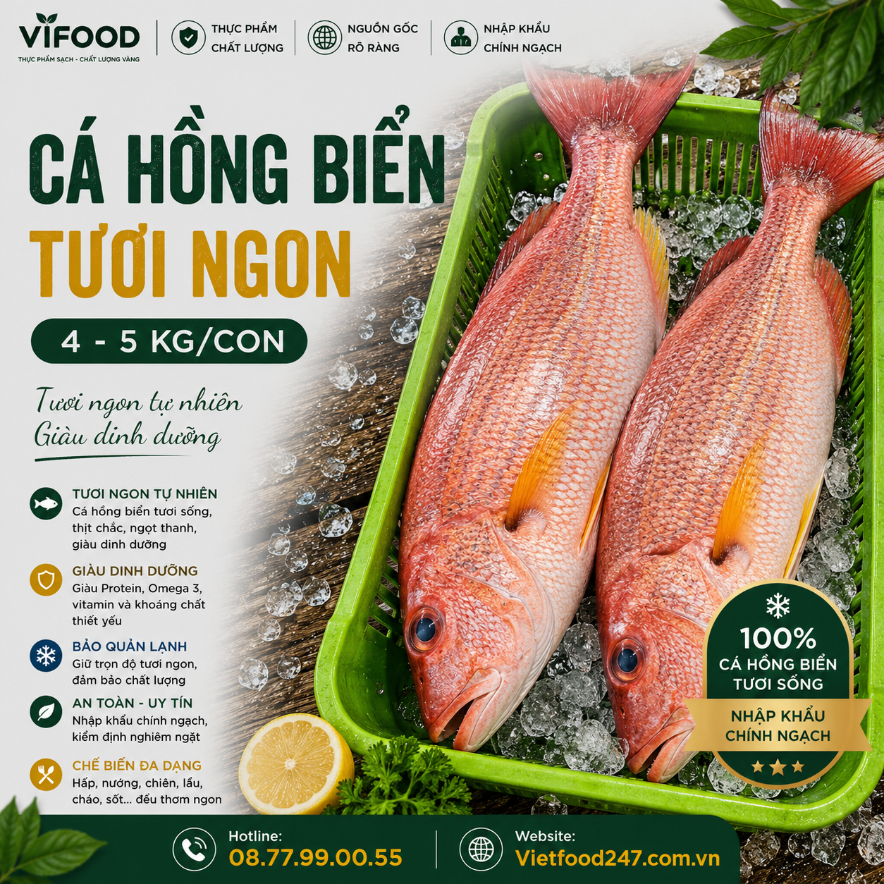 Cá hồng biển tươi 4-5 kg/con