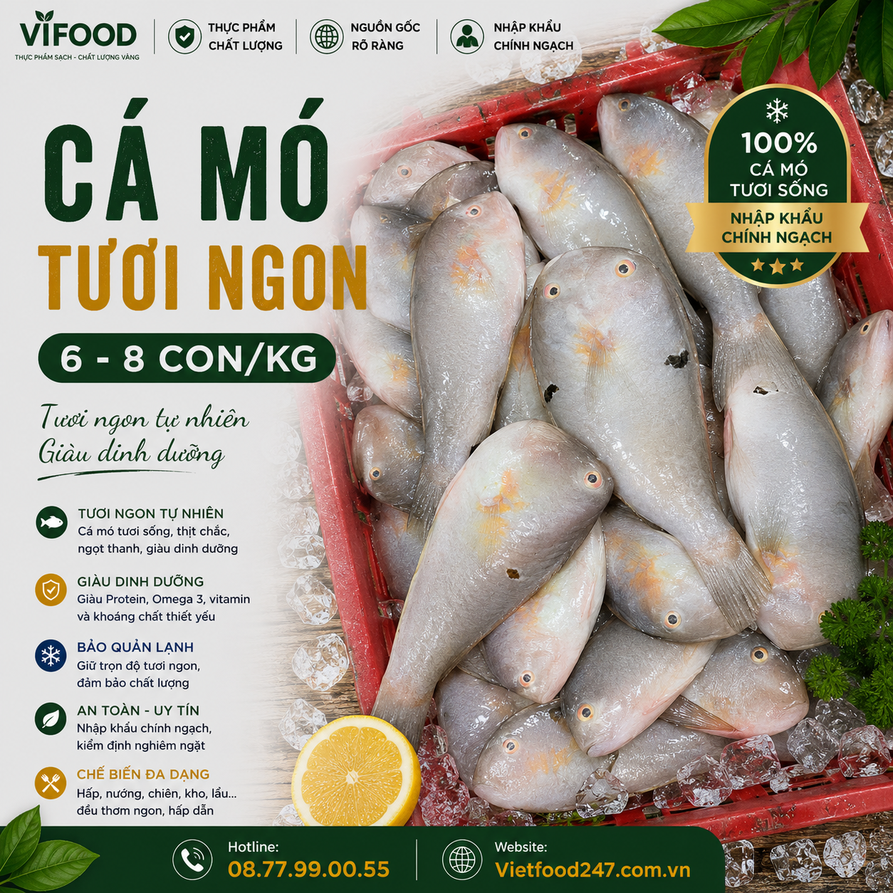 Cá mó tươi 6-8 con/kg