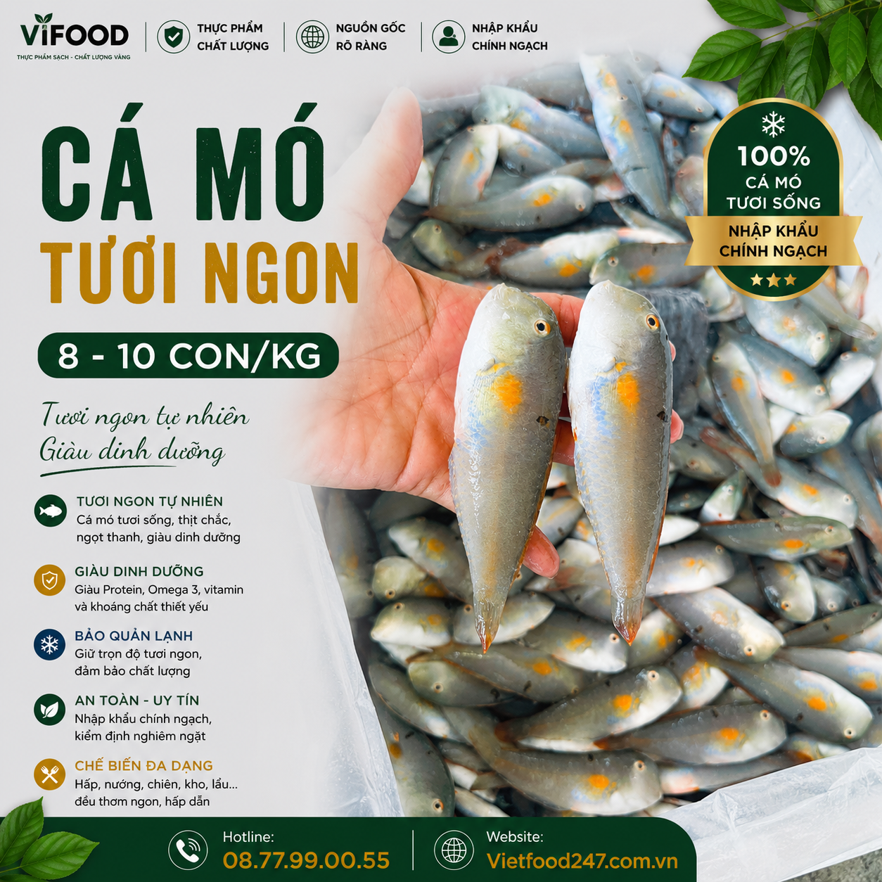 Cá mó tươi (cá lưỡi mèo) 8-10 con/kg