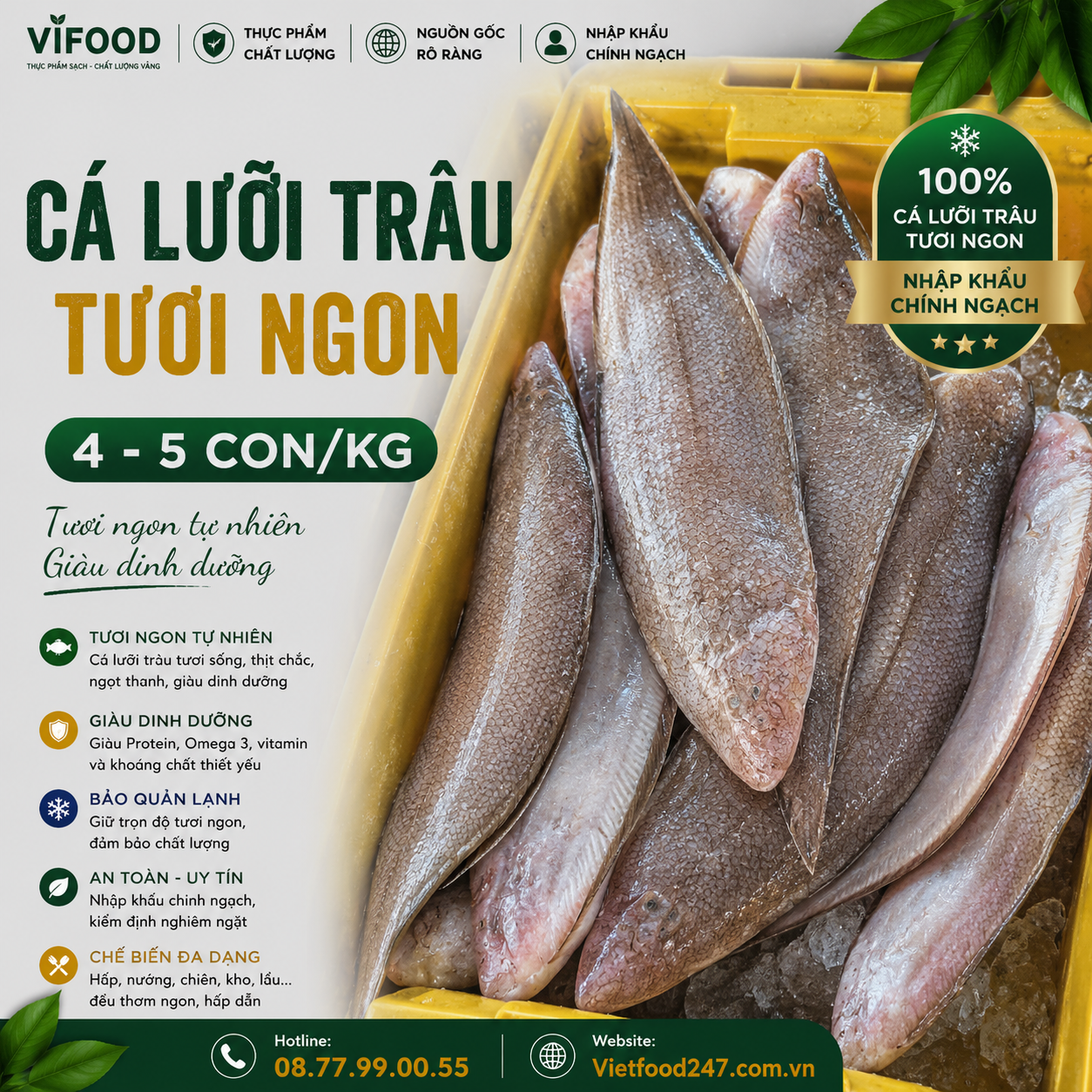 Cá lưỡi trâu 4-5 con/kg
