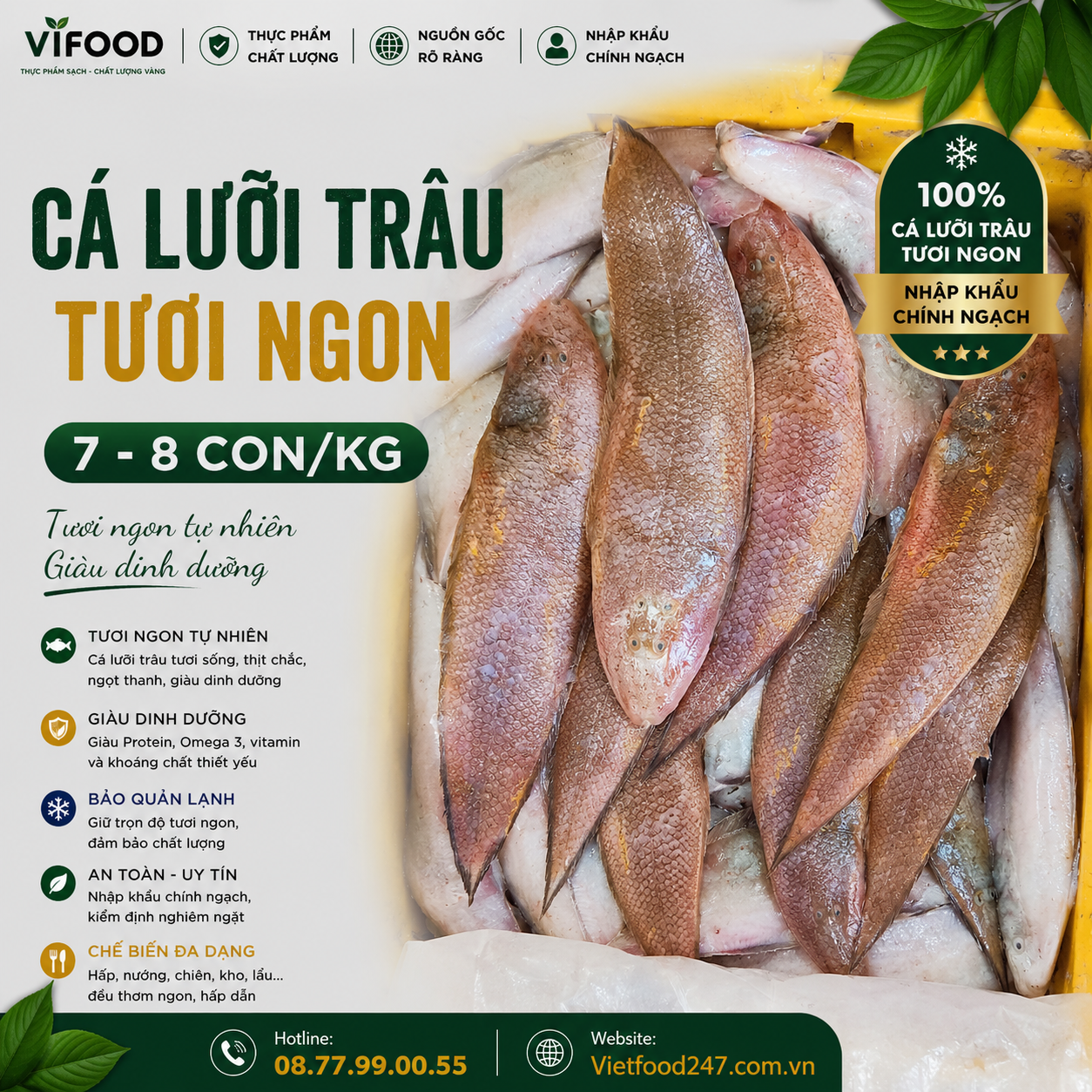 Cá lưỡi trâu tươi 7-8 con/kg