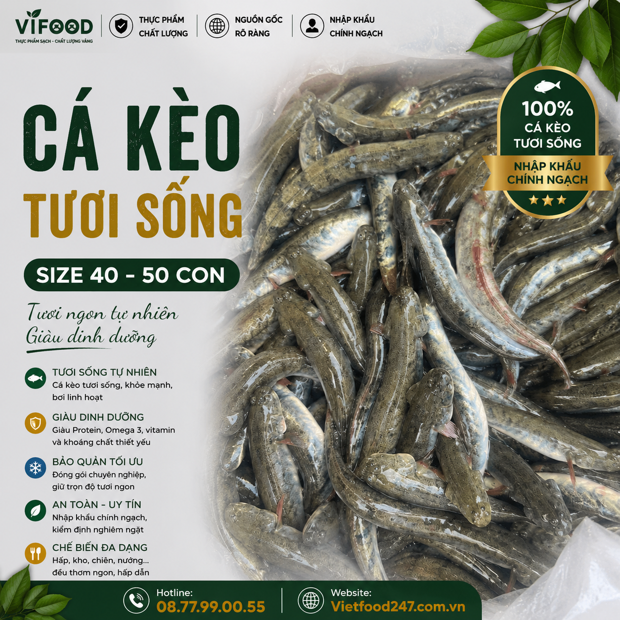 cá kèo tươi sống size 4- 50 con