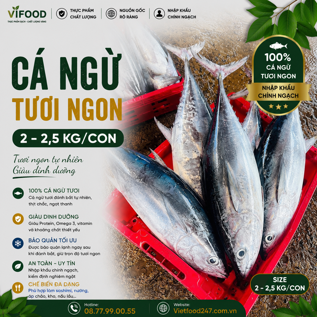 Cá ngừ tươi 2-2,5 kg/con