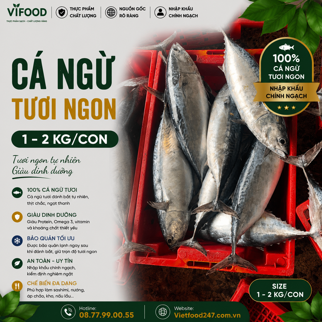 Cá ngừ tươi 1-2kg/con