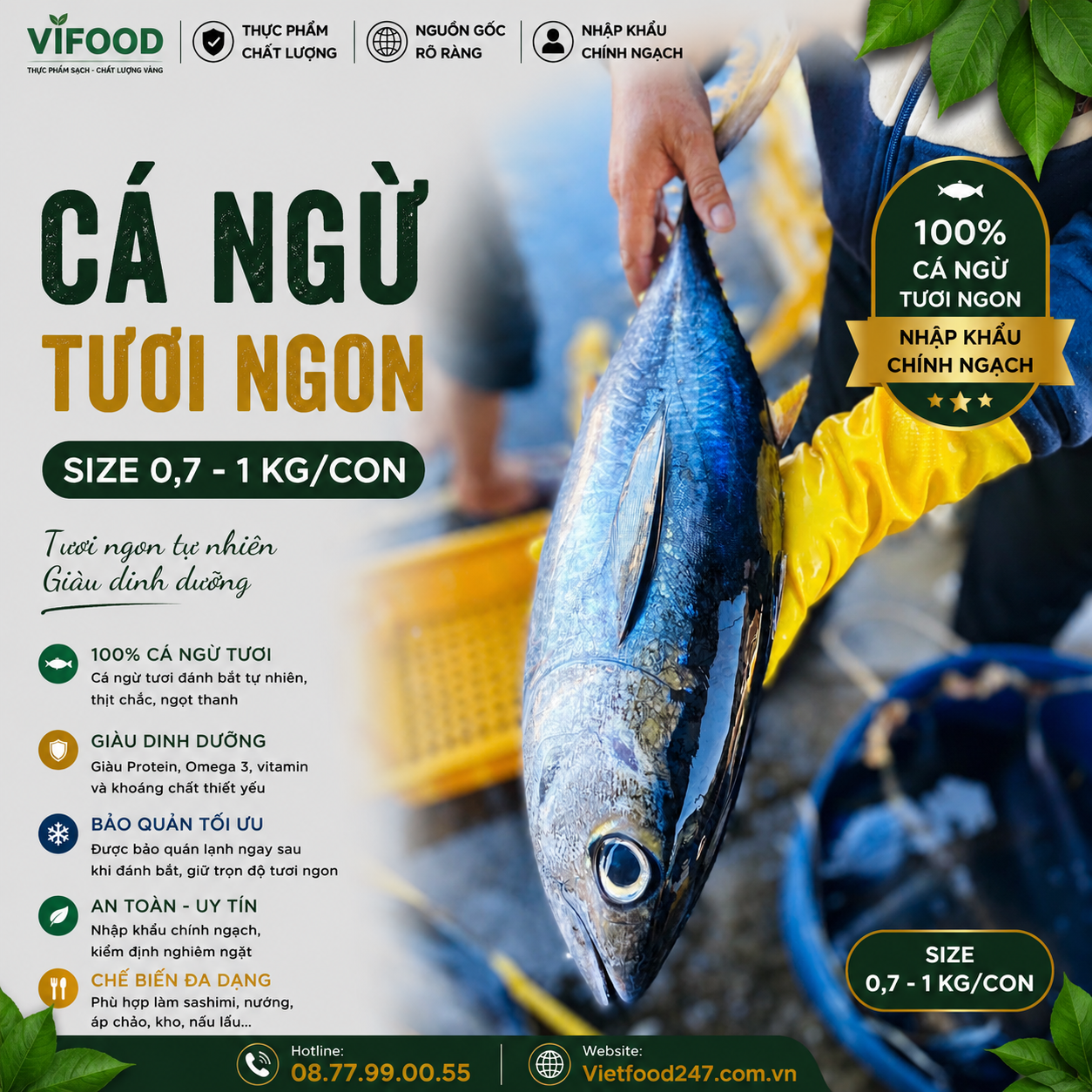 Cá ngừ tươi size 0,7-1 kg/con