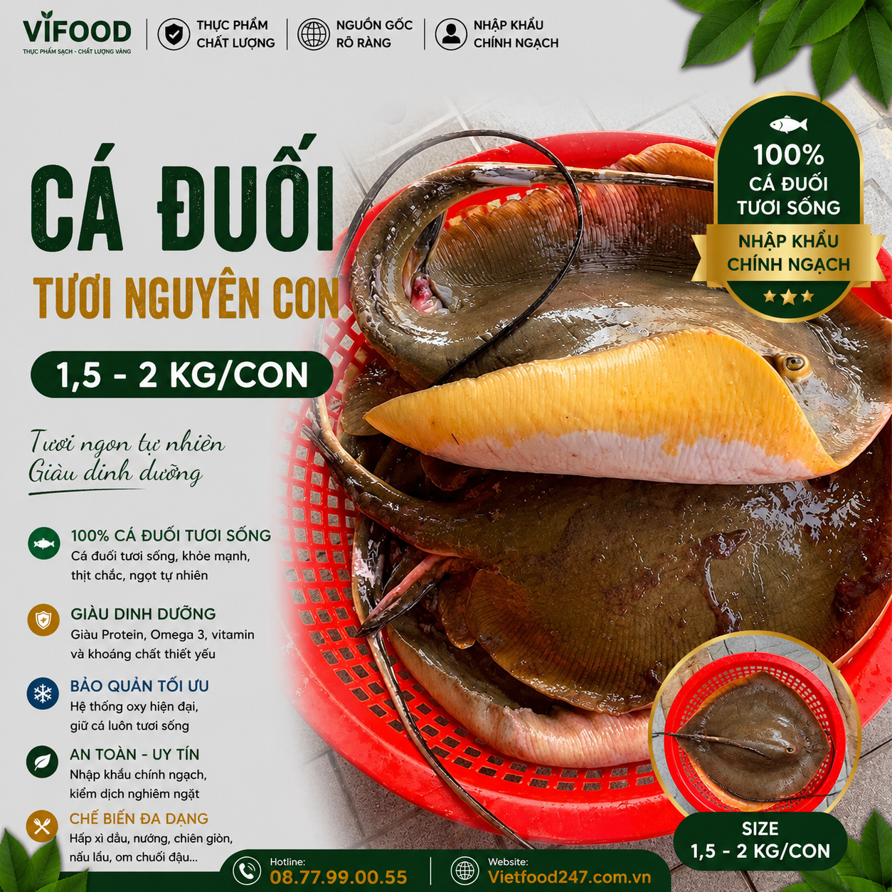 Cá đuối tươi nguyên con 1,5-2 kg/con