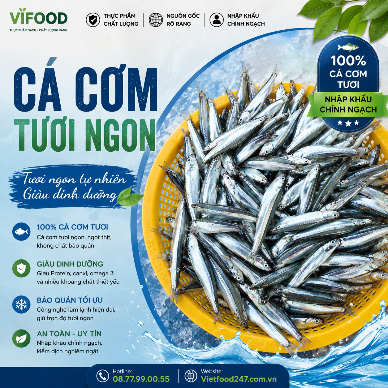 Cá cơm tươi