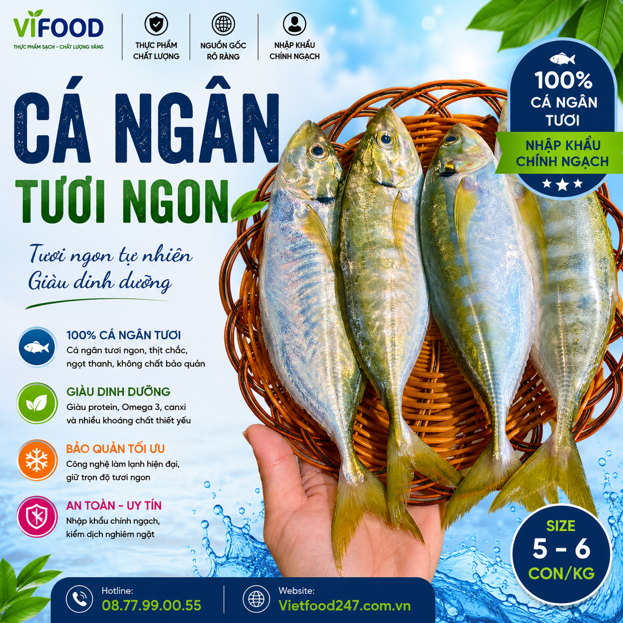 Cá ngân tươi 5-6 con/kg