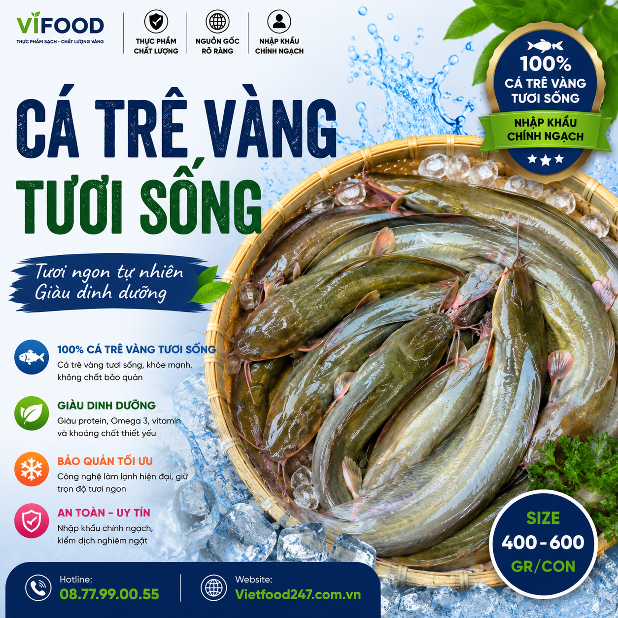 Cá trê vàng sốn 400-600 gr/con