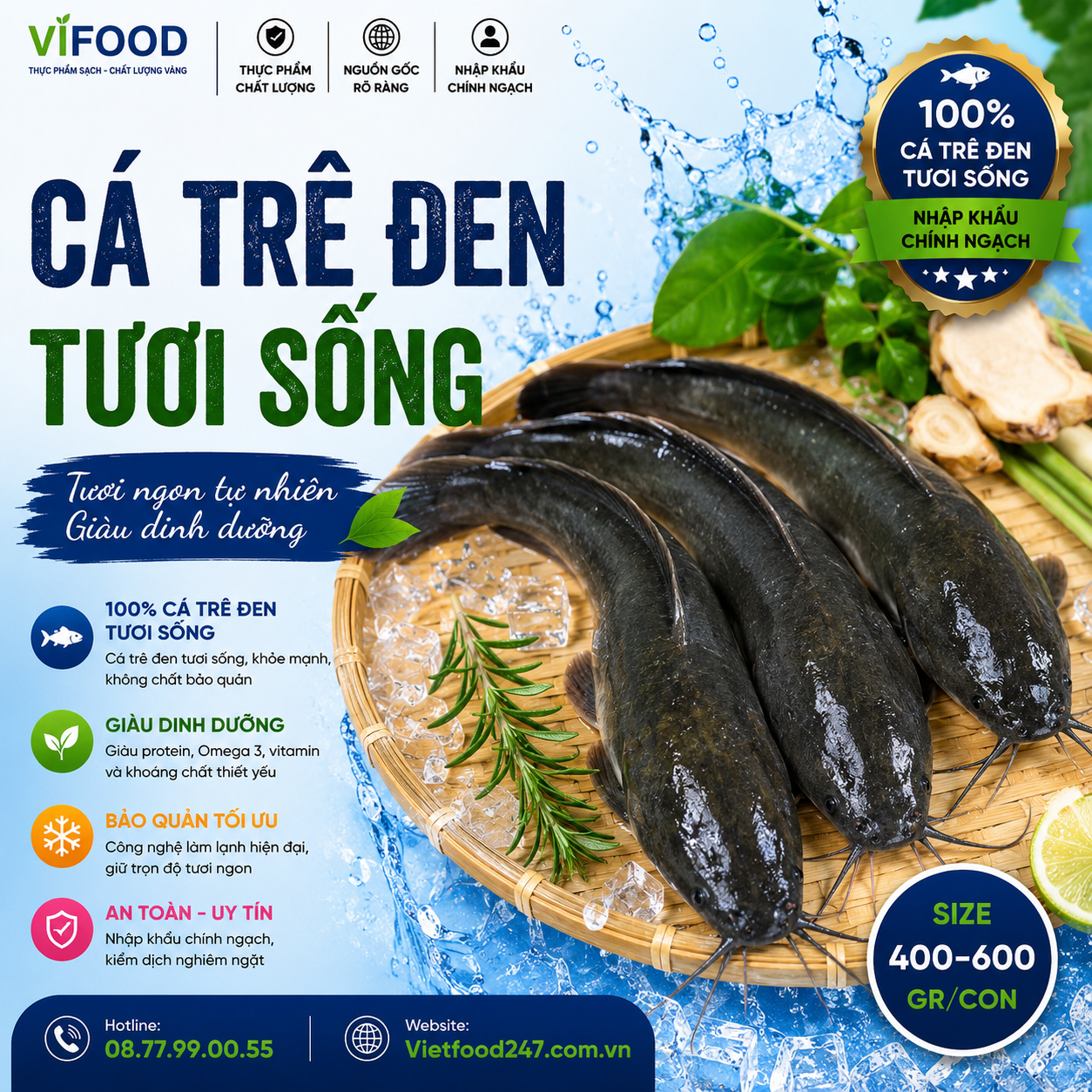 Cá trê đen sống 400-600 gr/con