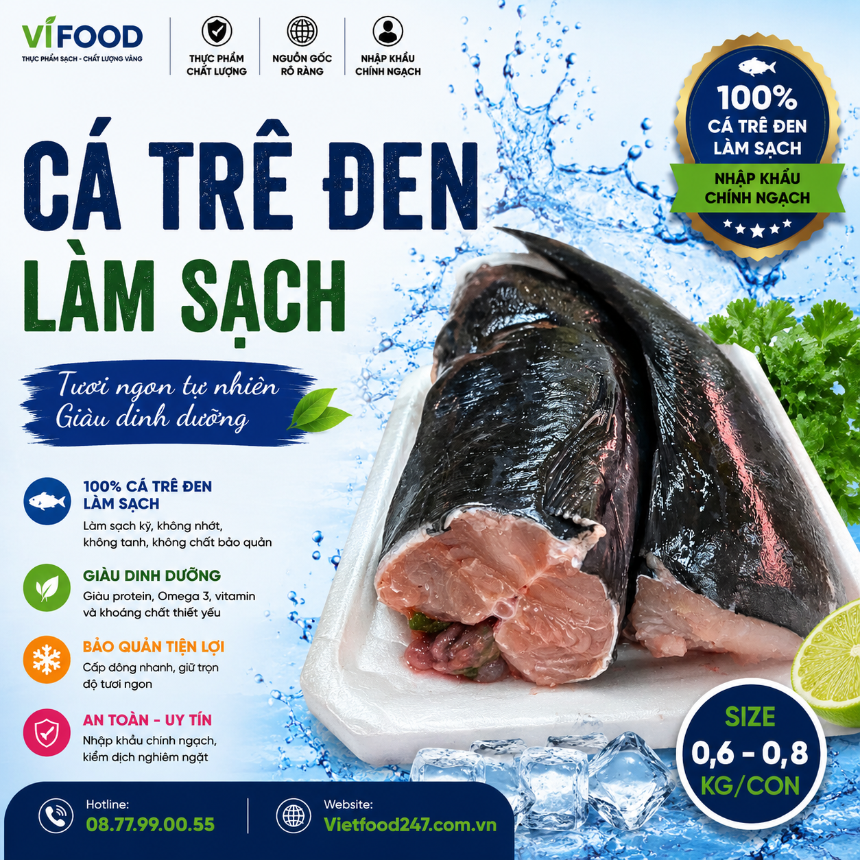 Cá trê đen làm sạch 0,6-0,8 kg/con