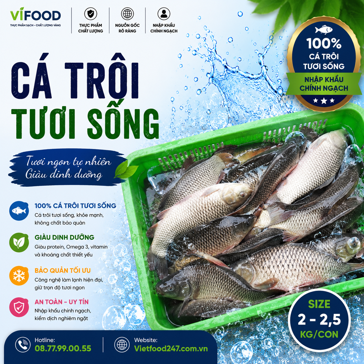 Cá trôi sống 2-2,5 kg/con