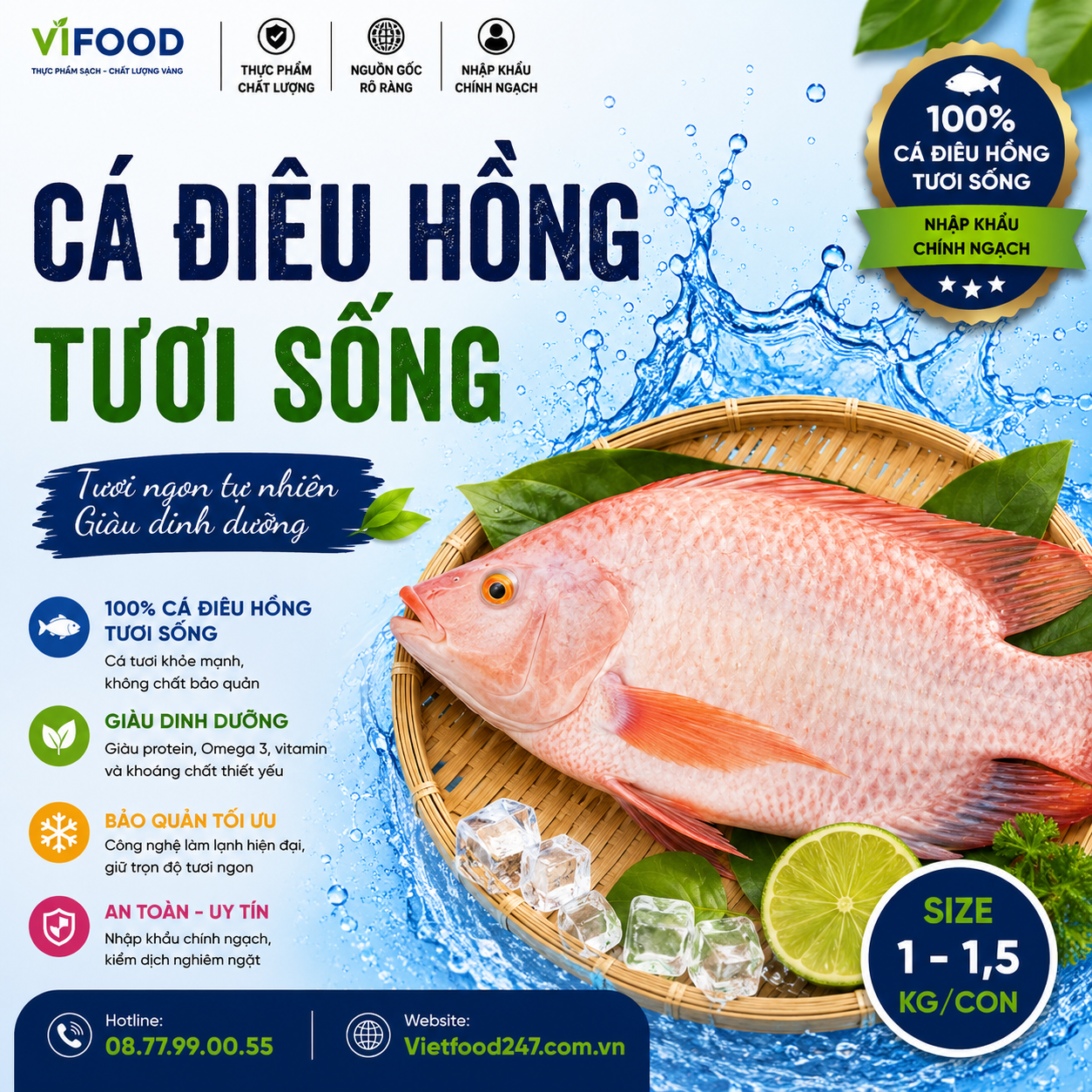 Cá điêu hồng sống 1-1,5kg/con