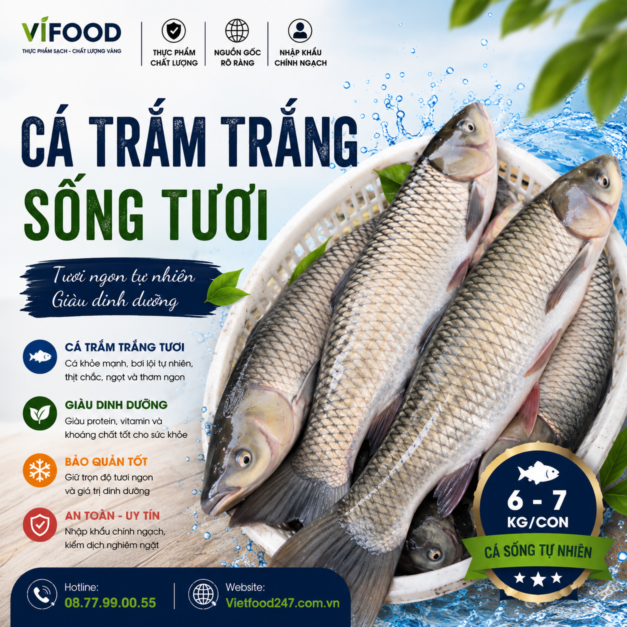 Cá Trắm Trắng (Trắm Cỏ) Sống 6–7kg/Con