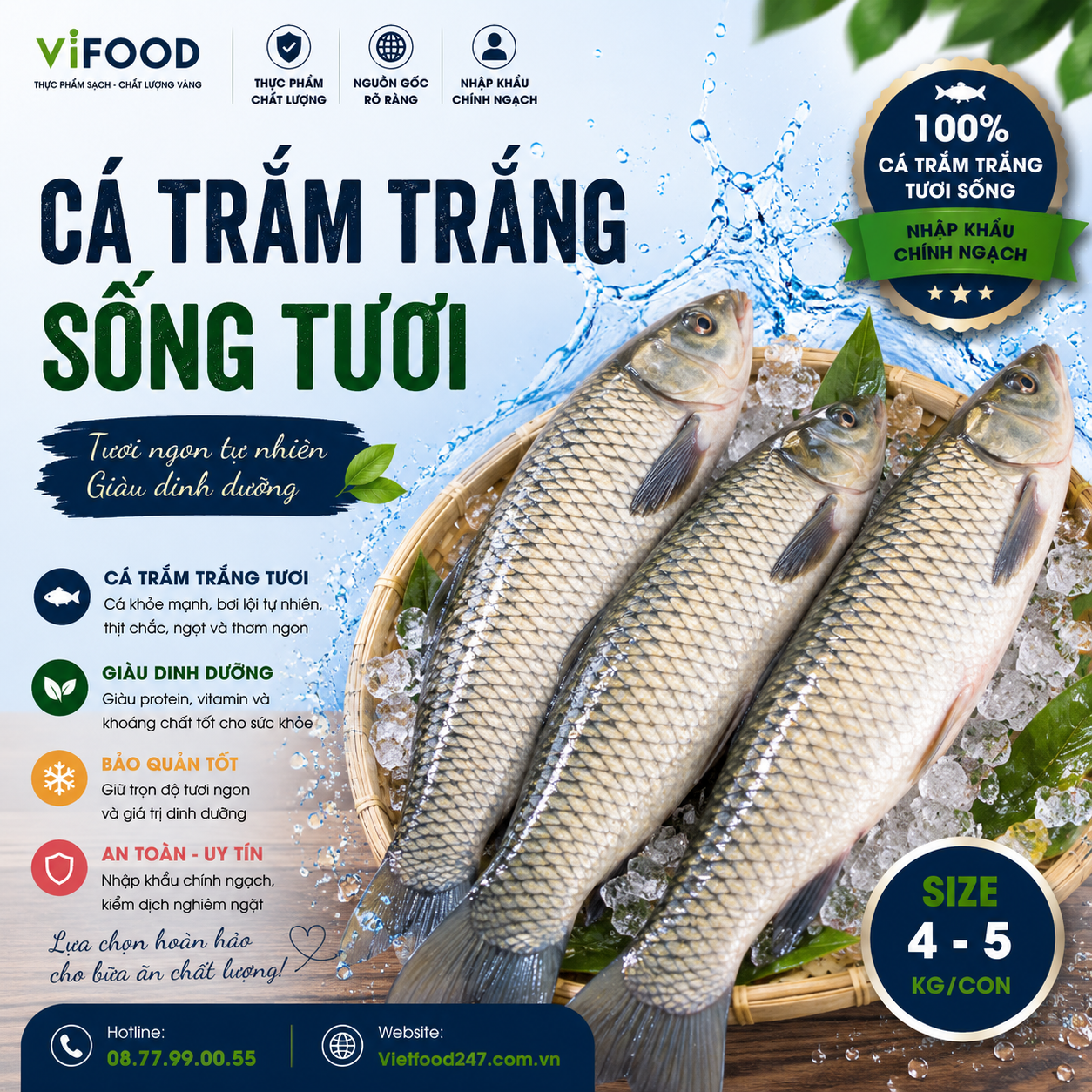 Cá trắm trắng (trắm cỏ) sống 4-5 kg/con