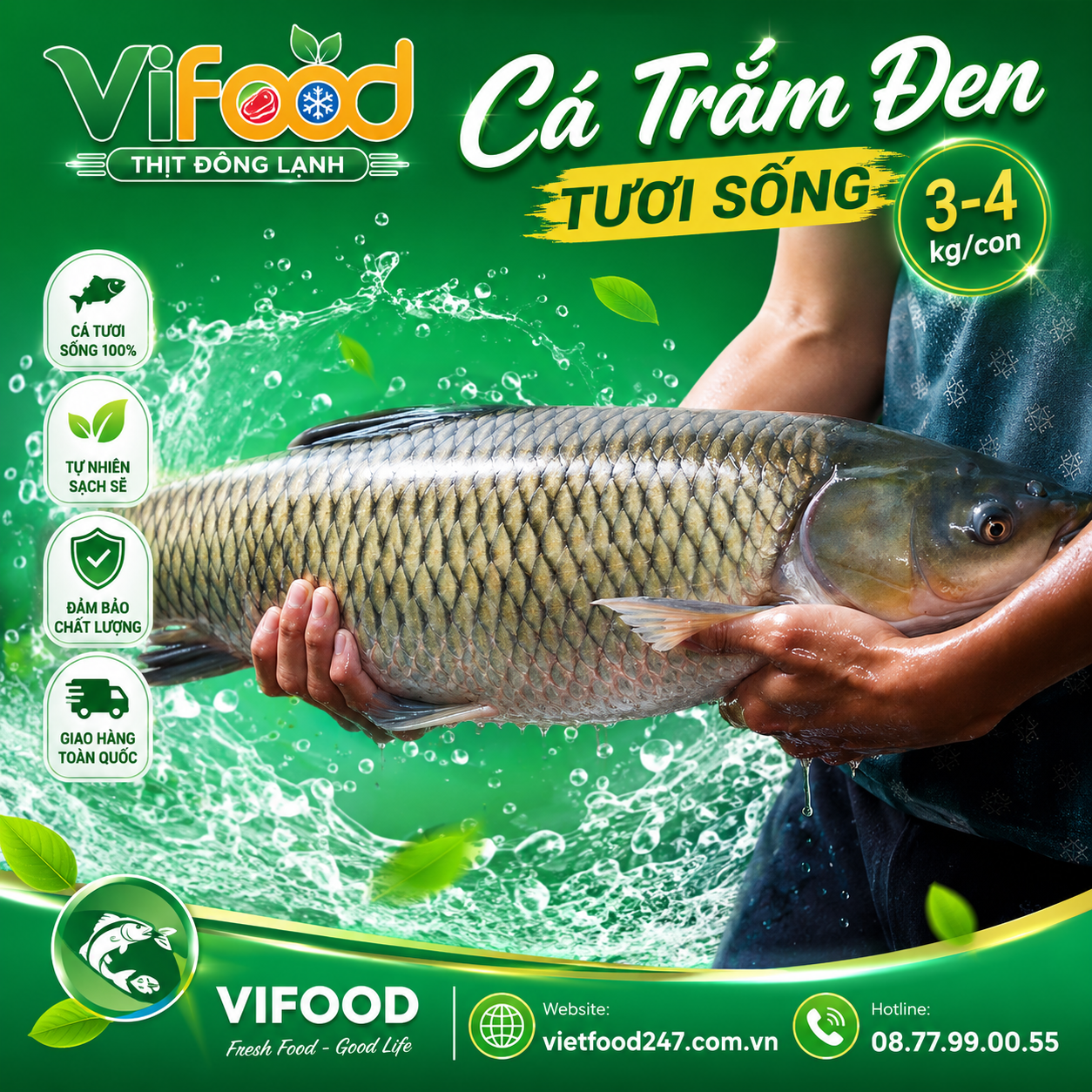 Cá trắm đen tươi sống 3-4 kg/con