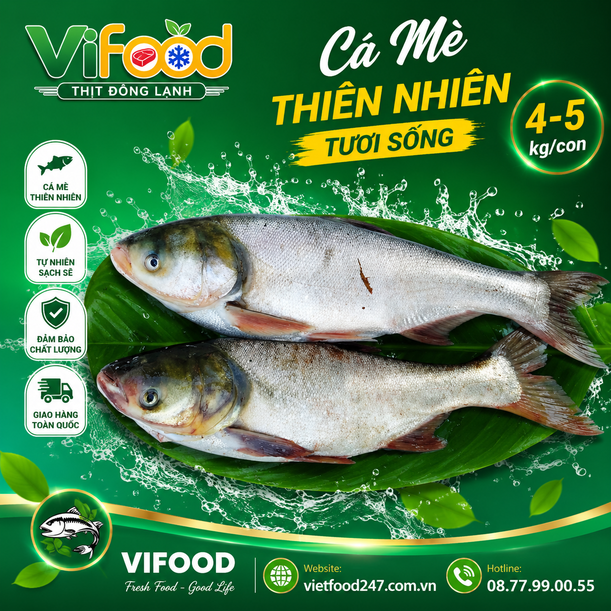 Cá mè thiên nhiên 4-5 kg/con