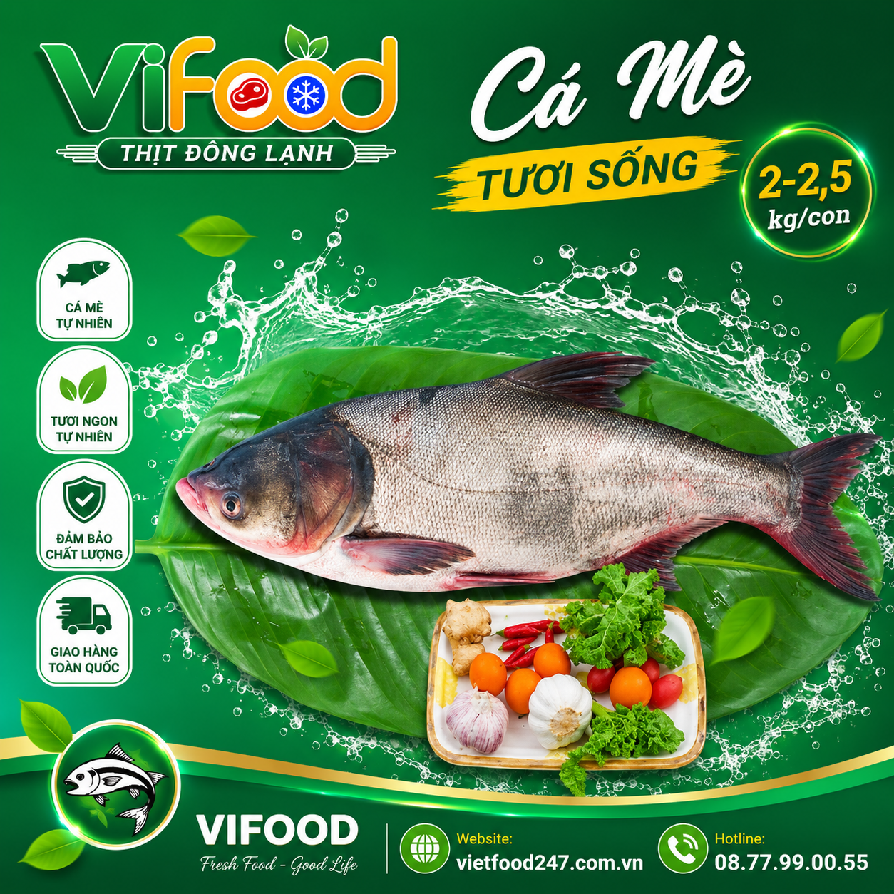 Cá mè sống 2-2,5 kg/con