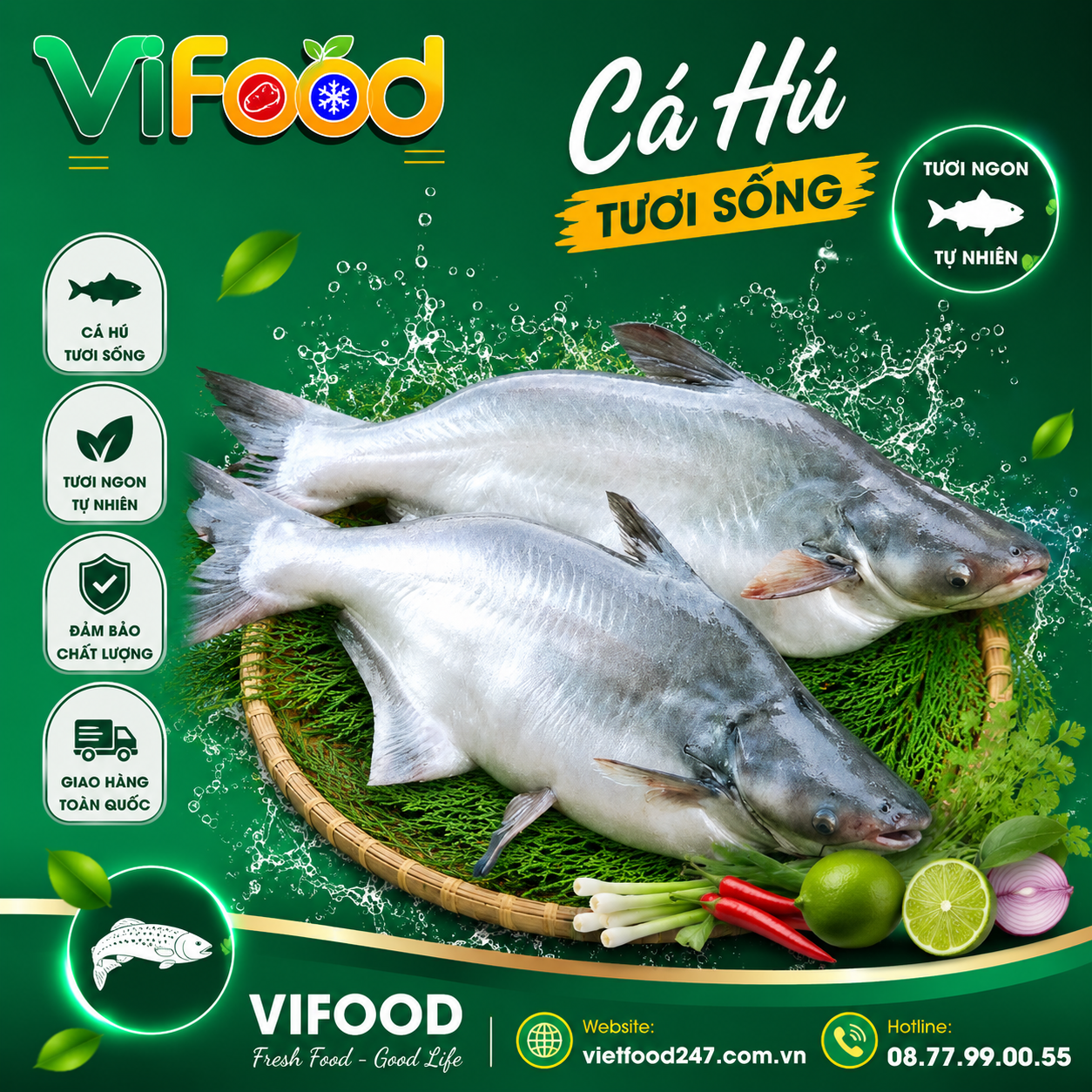 Cá Hú Tươi Sống