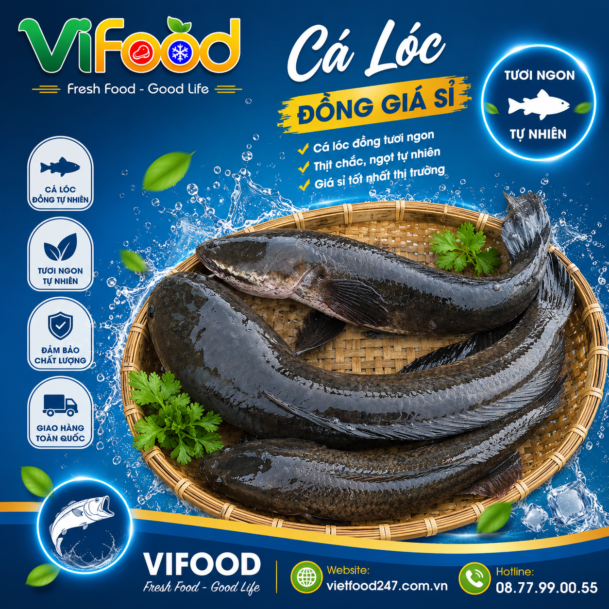 Cá Lóc Đồng Giá Sỉ