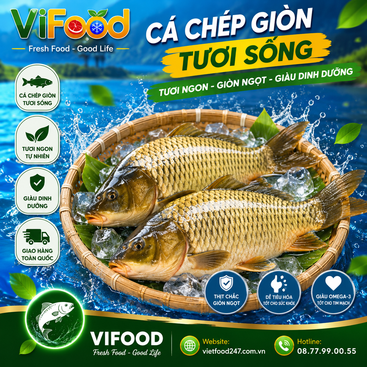 Cá Chép Giòn Tươi Sống