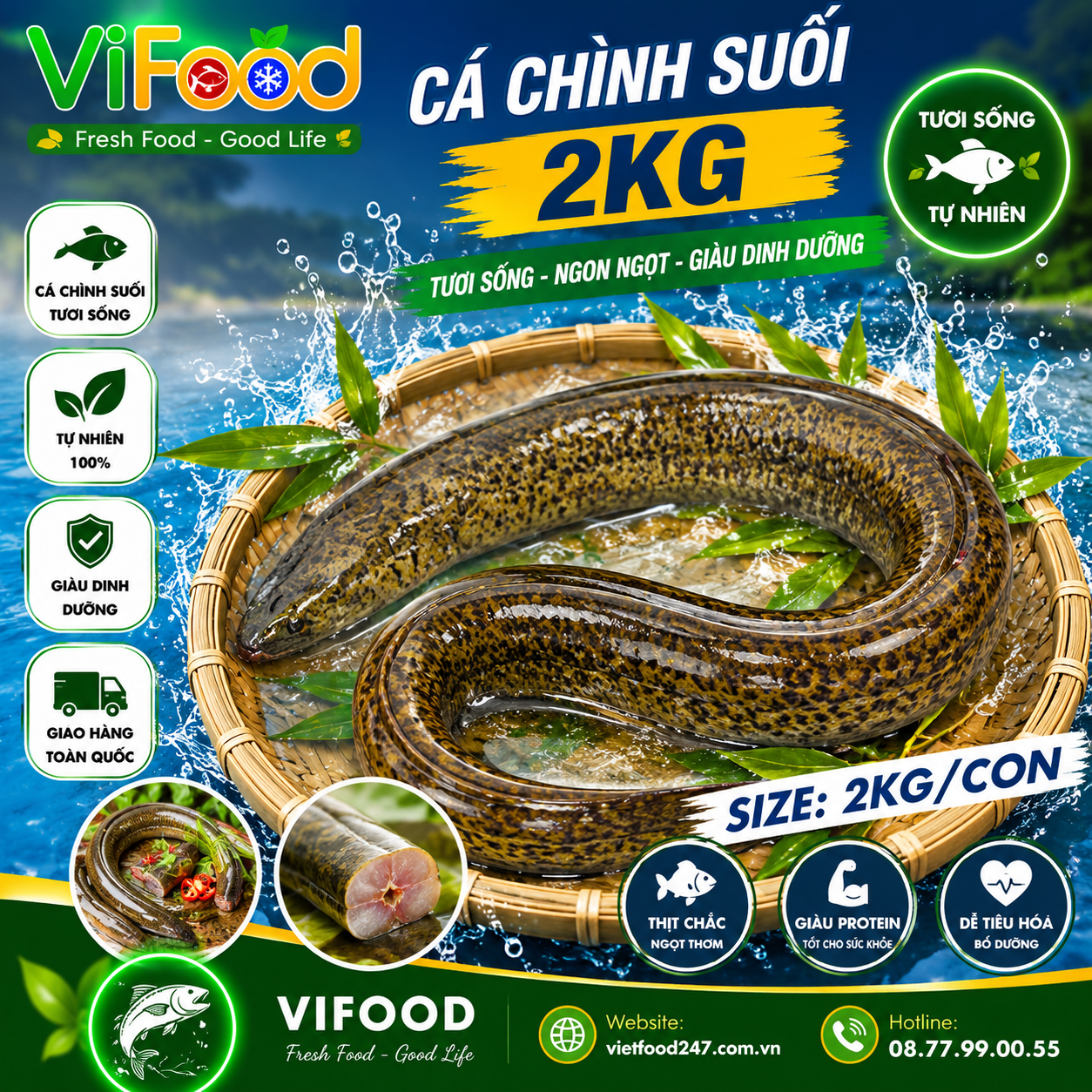 Cá Chình Suối 2kg