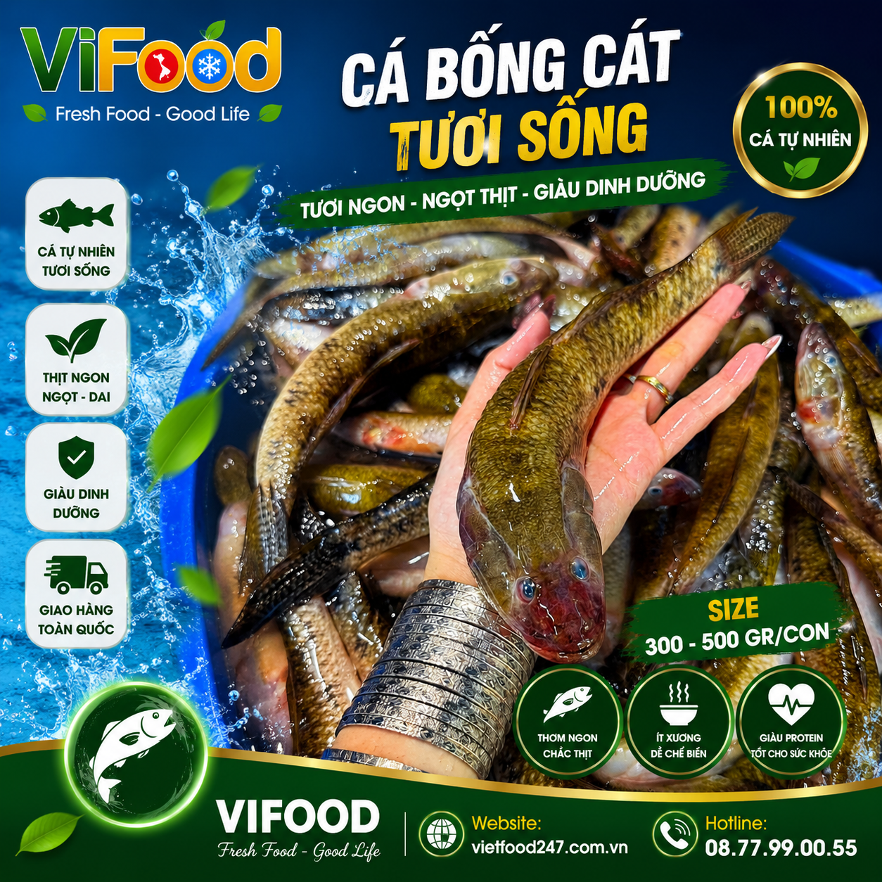 Cá bống cát tươi sống