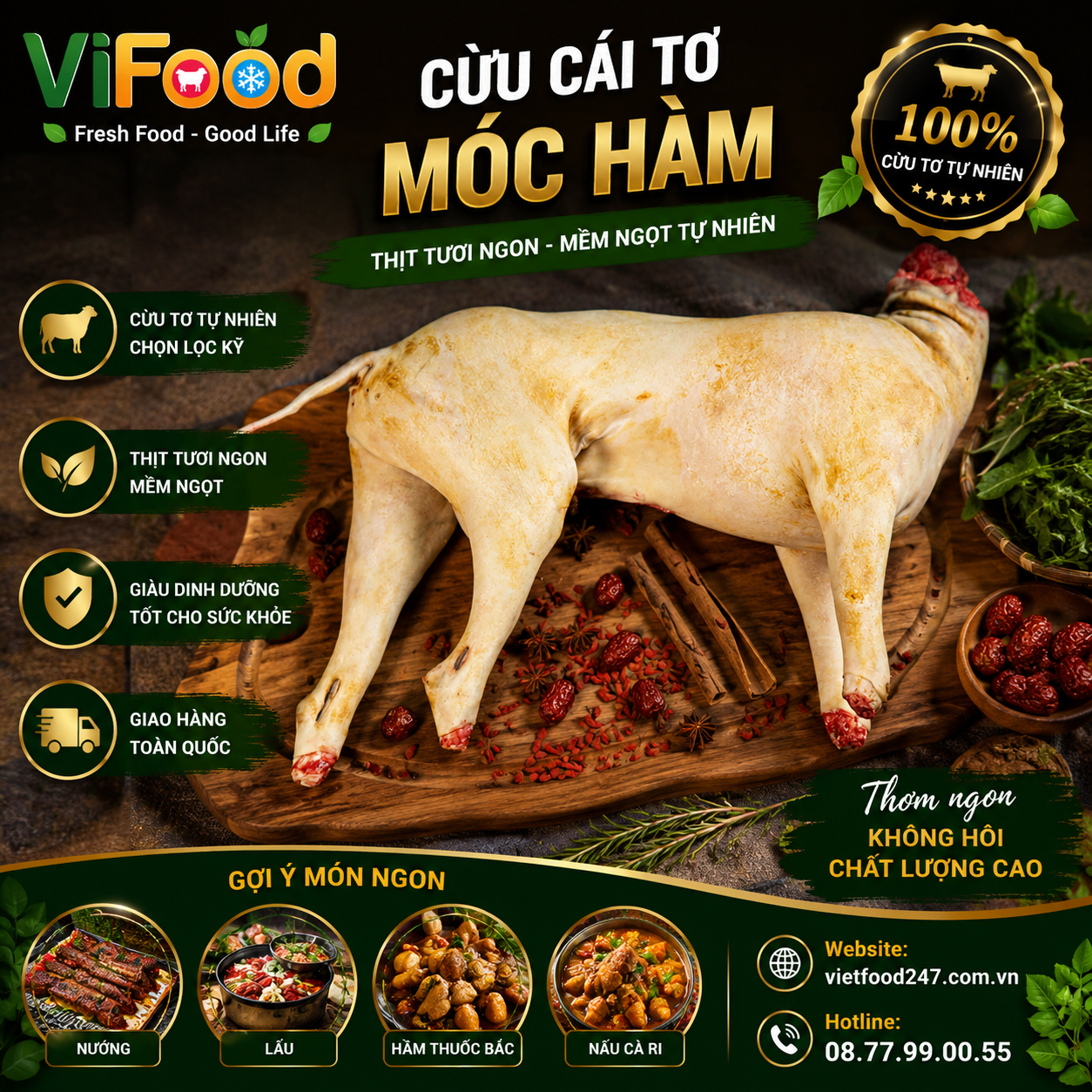 Cừu cái tơ móc hàm