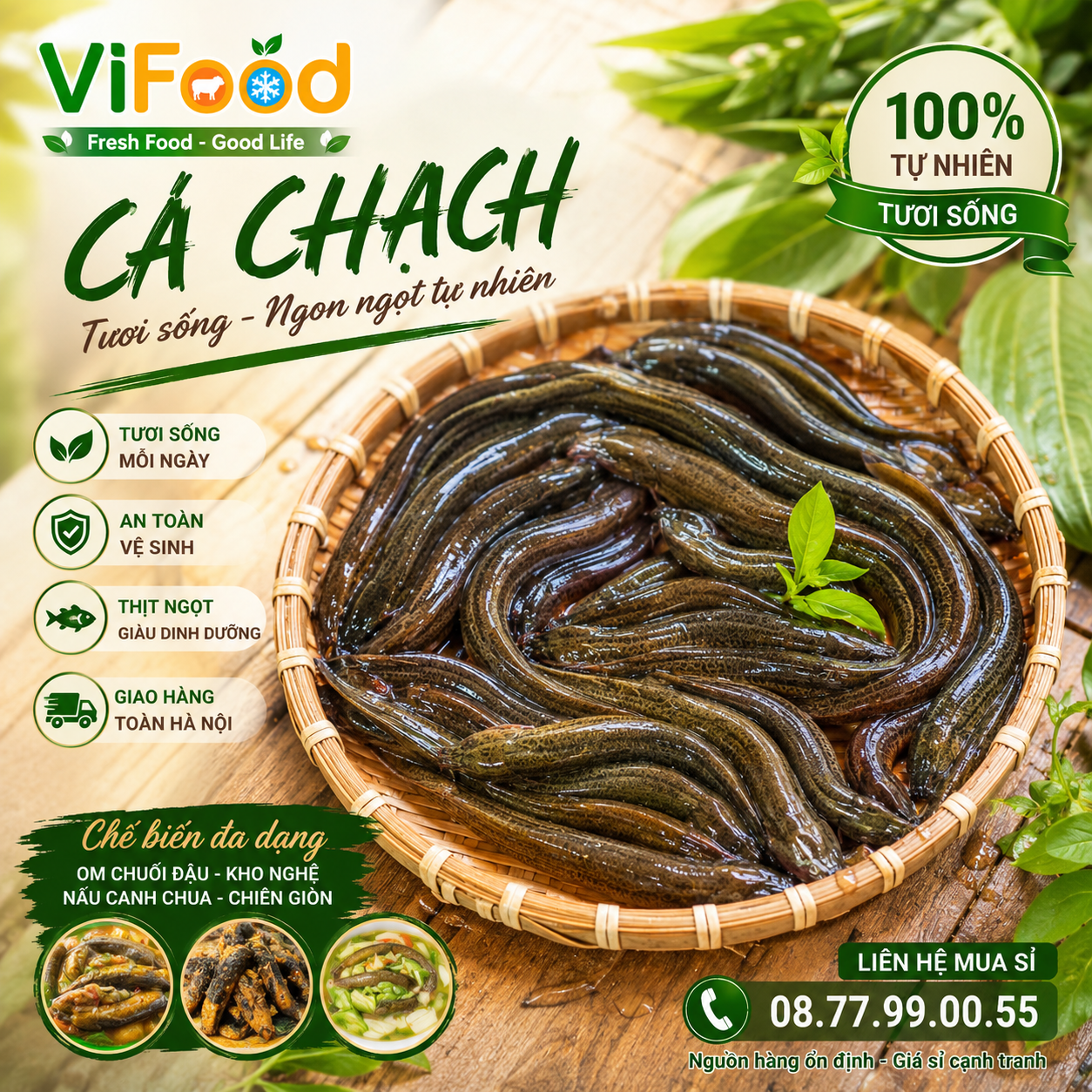 Cá chạch