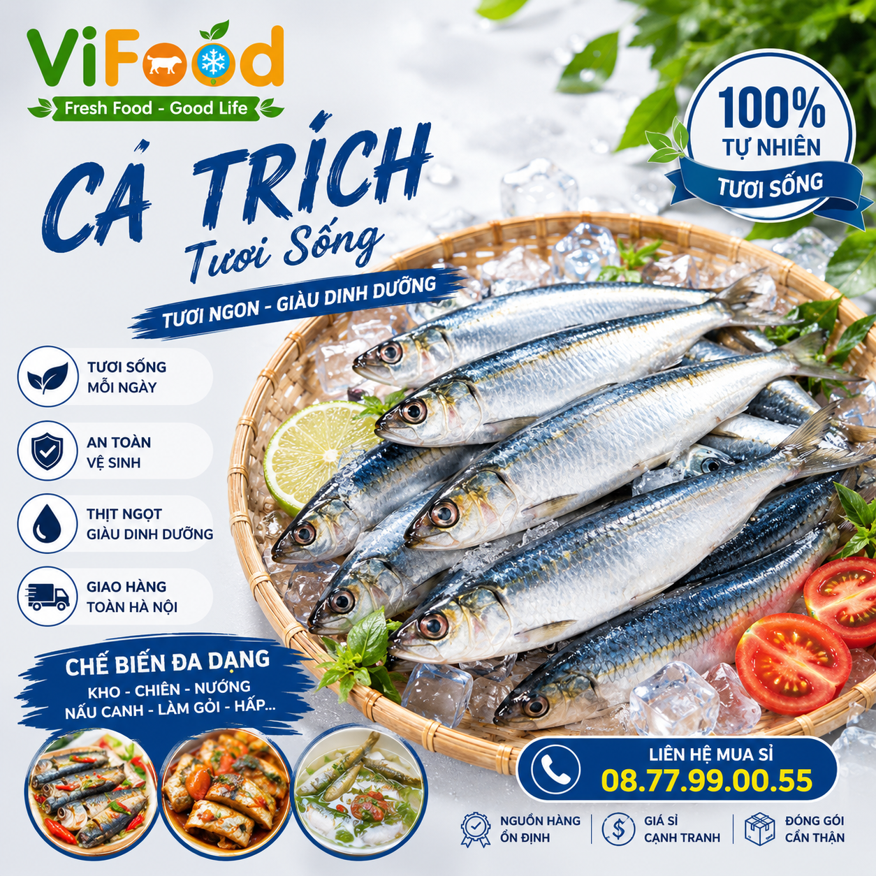 Cá Trích Tươi Sống