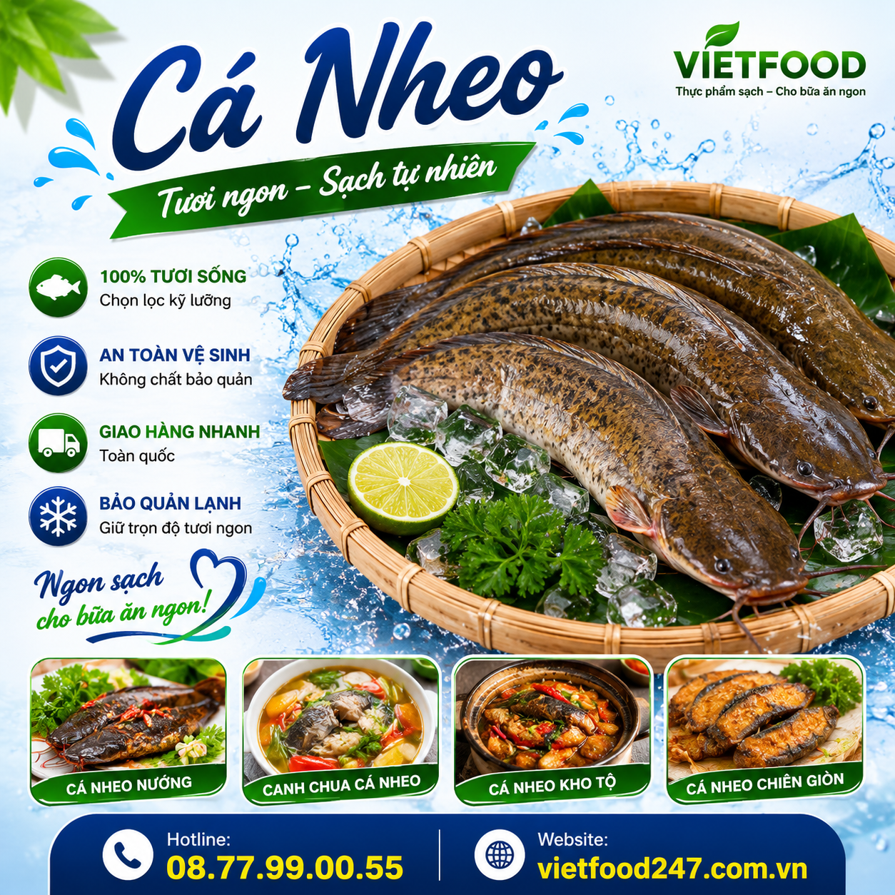 Cá nheo
