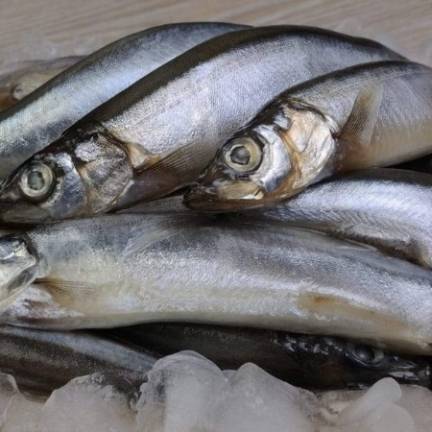 VIFOOD - Tổng Kho Thịt Bò, Thịt Gà, Thịt Heo, Hải Sản Đông Lạnh Nhập Khẩu tại Xã Tây Cốc, Tỉnh Phú Thọ
