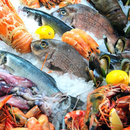 VIFOOD - Tổng Kho Thịt Bò, Thịt Gà, Thịt Heo, Hải Sản Đông Lạnh tại Xã Lương Tài, Tỉnh Bắc Ninh