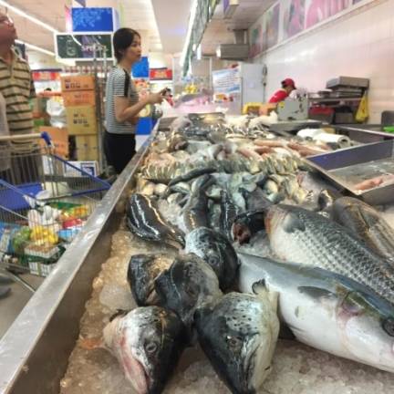 VIFOOD - Siêu Thị Thịt Bò, Thịt Gà, Thịt Heo, Hải Sản Đông Lạnh tại Phường Việt Yên, Tỉnh Bắc Ninh