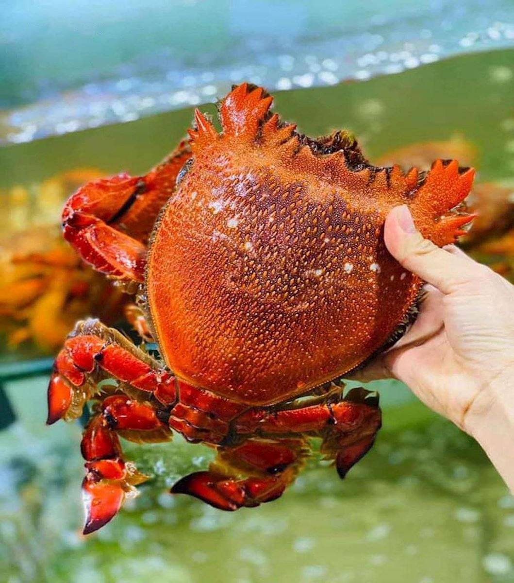VIFOOD - Tổng Kho Thịt Bò, Thịt Gà, Thịt Heo, Hải Sản Đông Lạnh tại Xã Lộc Bình, Tỉnh Lạng Sơn