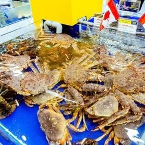 Cửa Hàng Sỉ Thịt Bò, Thịt Gà, Thịt Heo, Hải Sản Đông Lạnh tại Xã Tân Đoàn, Tỉnh Lạng Sơn