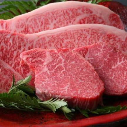 Cửa Hàng Thịt Bò, Thịt Gà, Thịt Heo, Hải Sản Đông Lạnh tại Xã Tân Tiến, Lạng Sơn